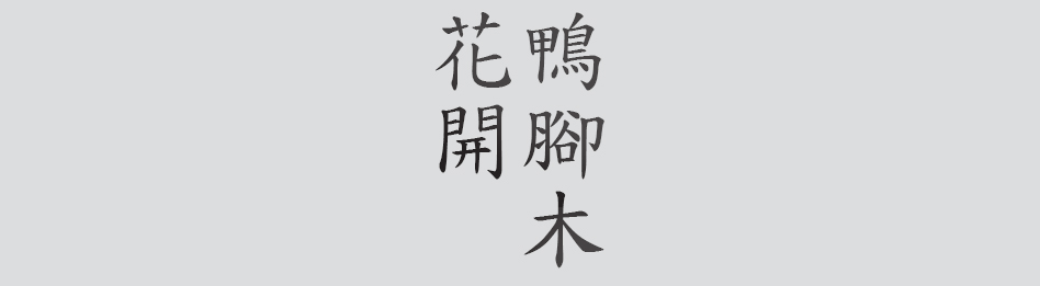 Text