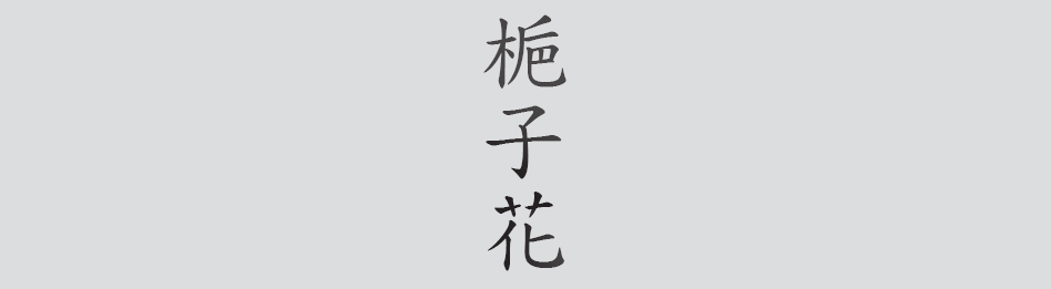 Text