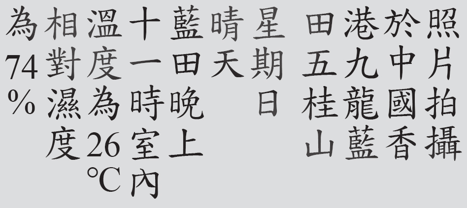 Text