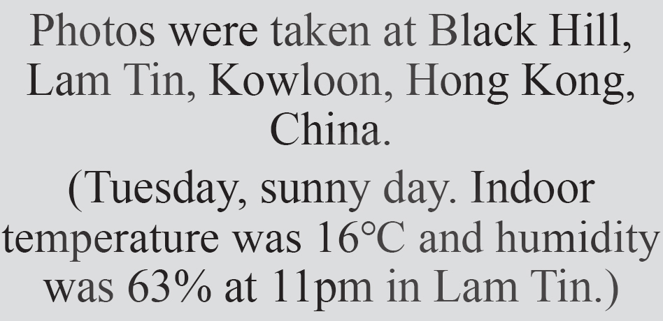 Text