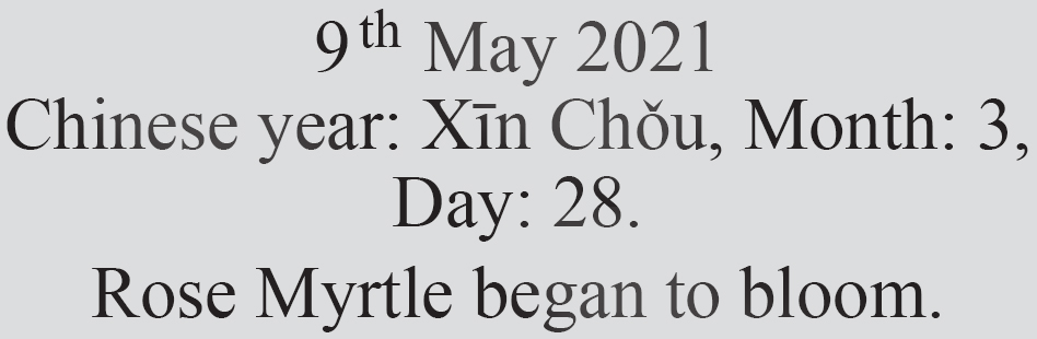 Text
