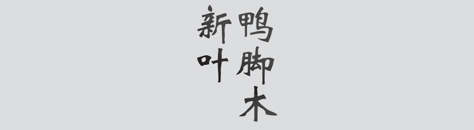 Text