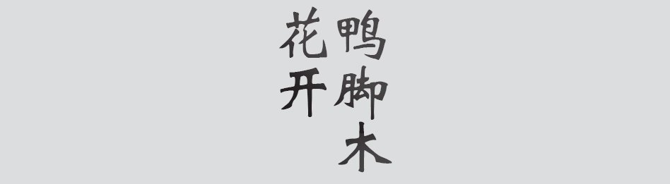Text