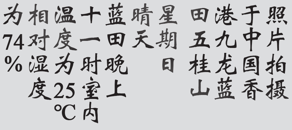 Text