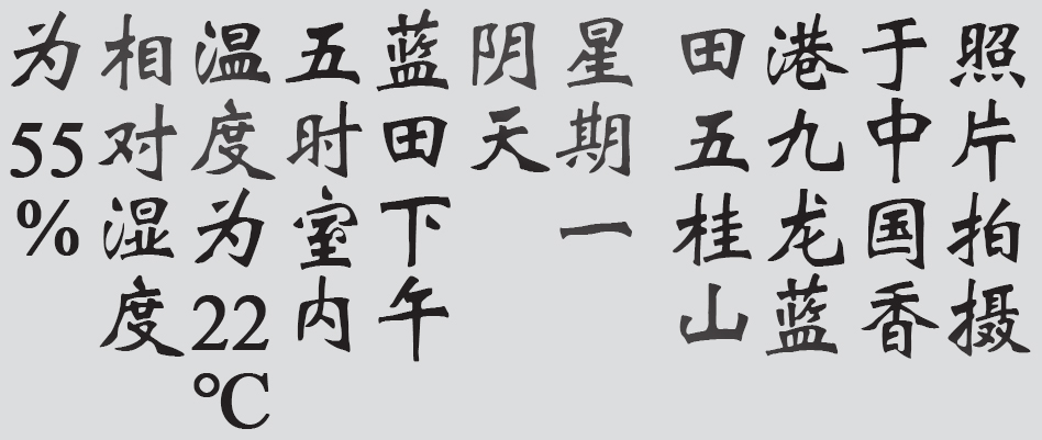 Text