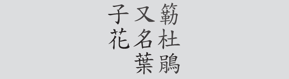 Text