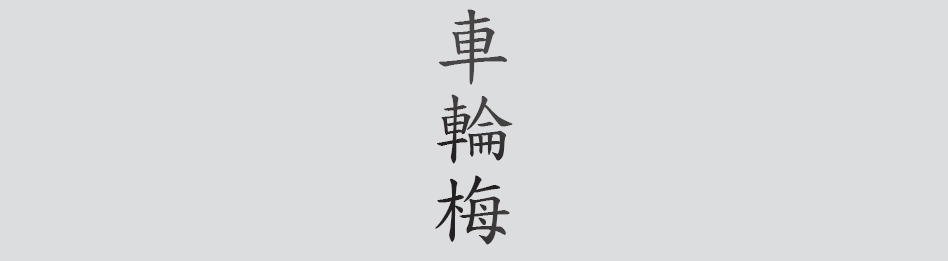 Text