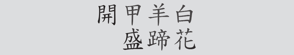 Text