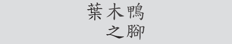 Text