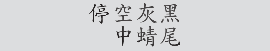 Text