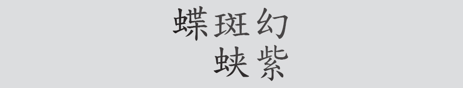Text