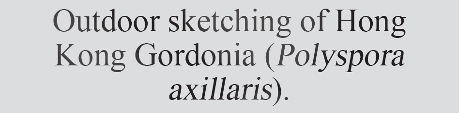 Text