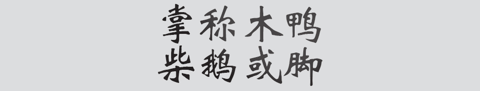 Text