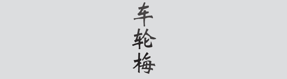 Text