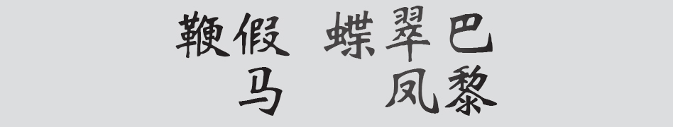 Text