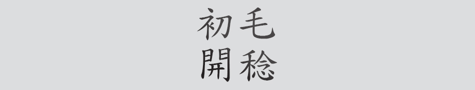 Text