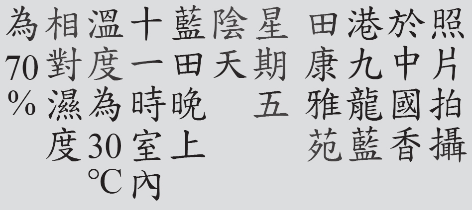 Text