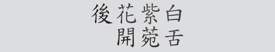 Text