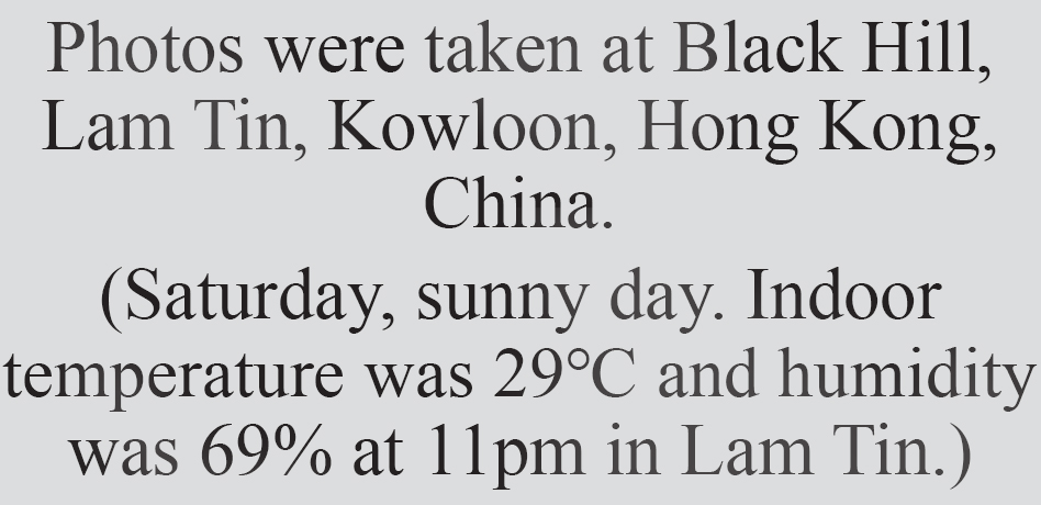 Text