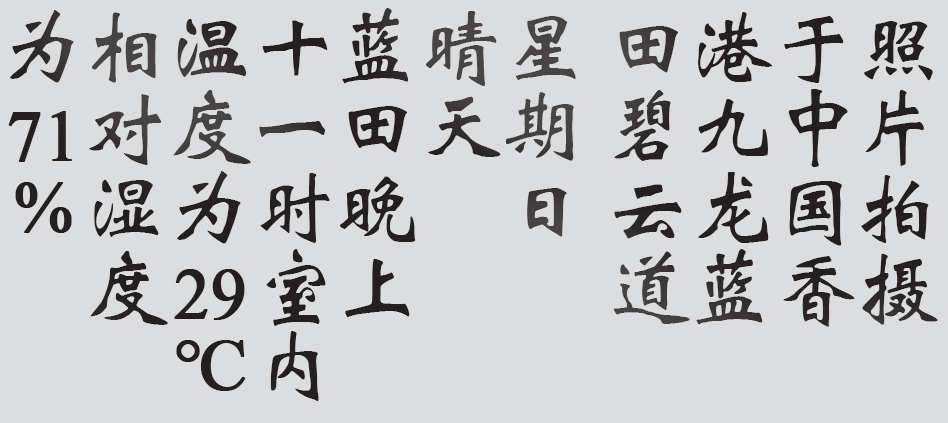 Text