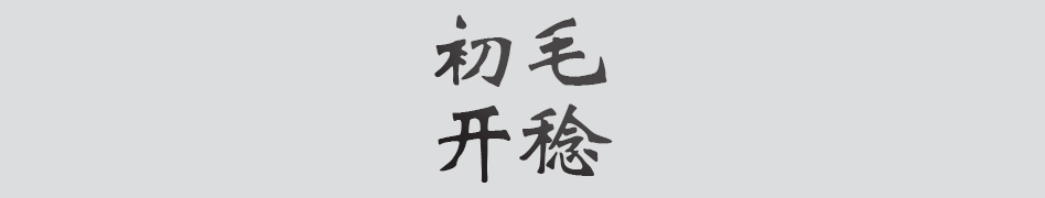 Text