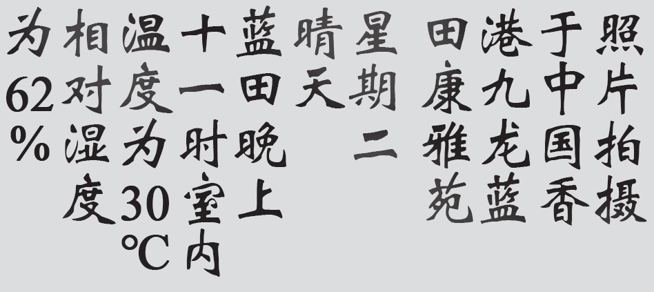 Text