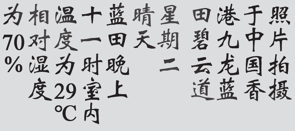 Text
