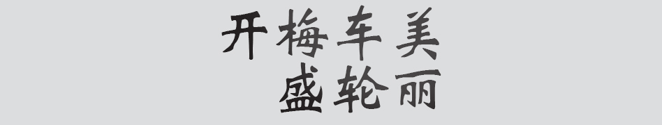 Text
