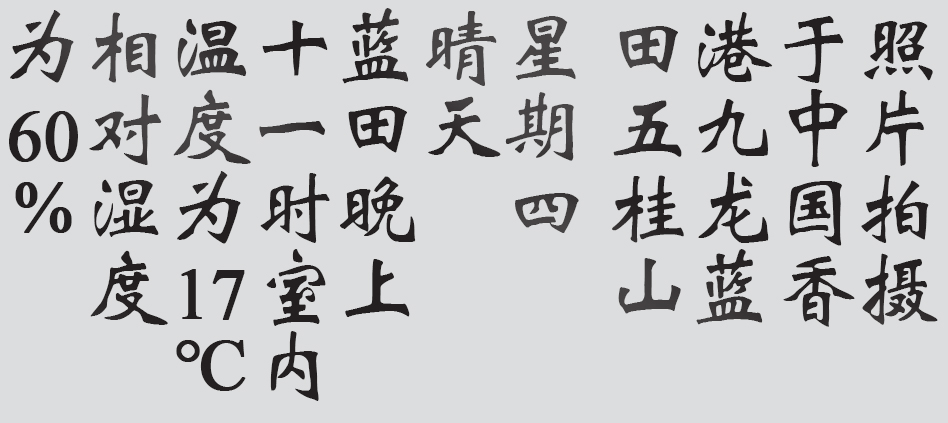 Text