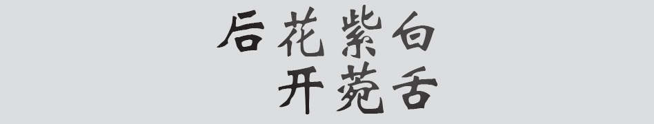 Text