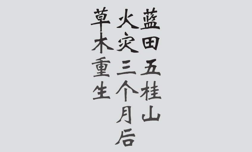 Text