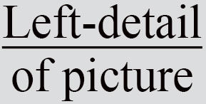 Text