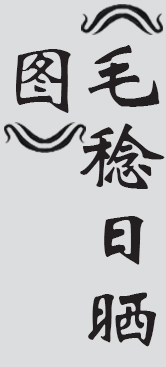 Text