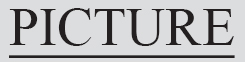 Text