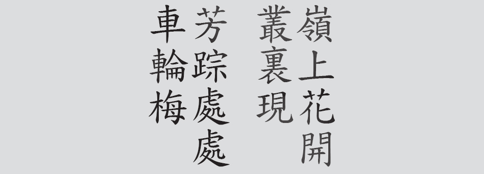 Text