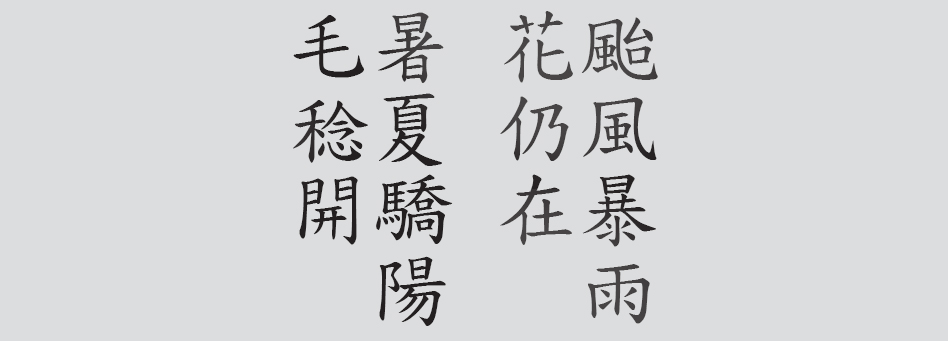 Text
