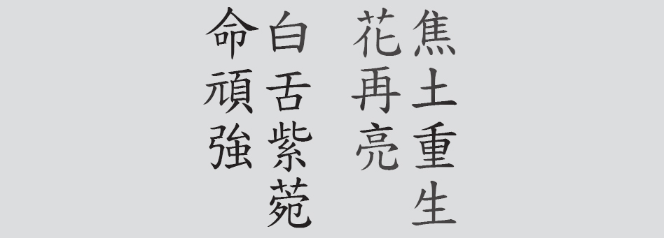 Text